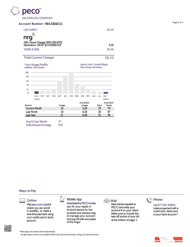 USA Pennsylvania PECO electric and gas utility bill, 3 pages 2